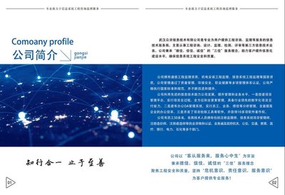 武汉众咨信息技术有限公司 信息技术咨询服务的典范与实践